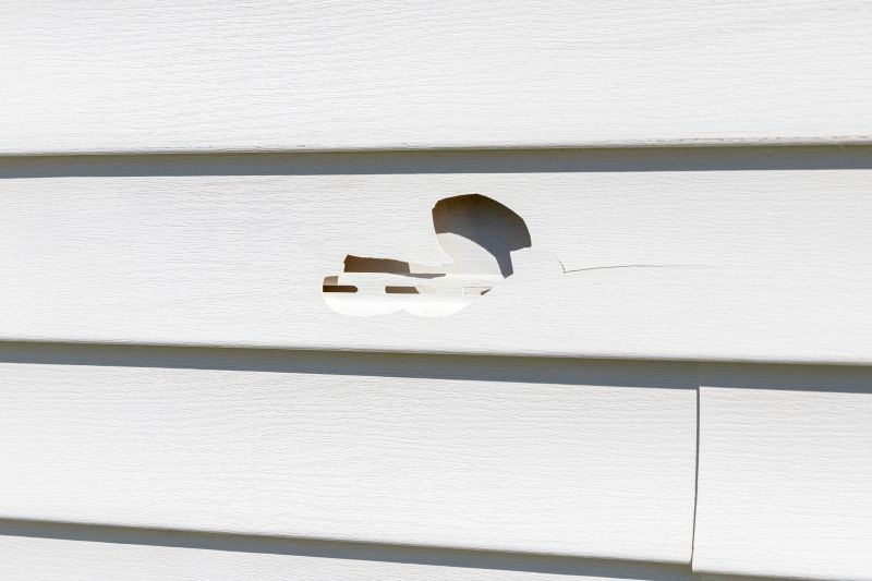 Vinyl Cladding Repair