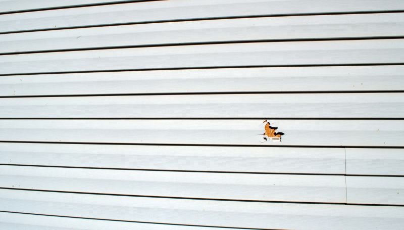 Quality Vinyl Siding Fixing